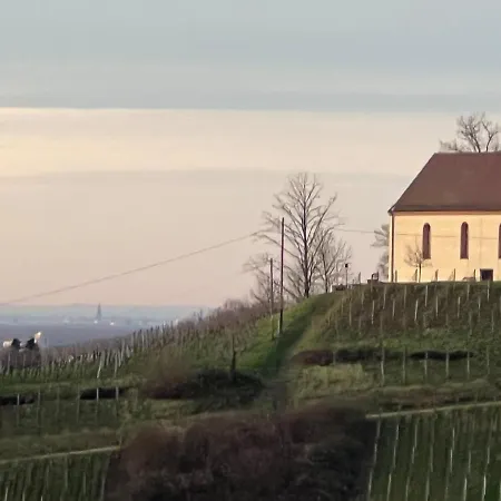Romantic Gem - Entry To Black Forest Near Europa Park And Rulantica Apartment *
