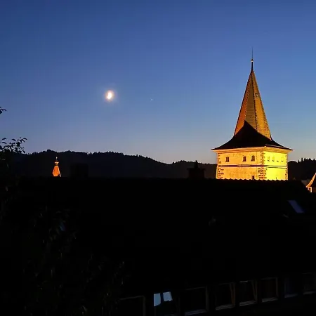 Romantic Gem - Entry To Black Forest Near Europa Park And Rulantica Gengenbach