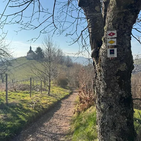 Romantic Gem - Entry To Black Forest Near Europa Park And Rulantica