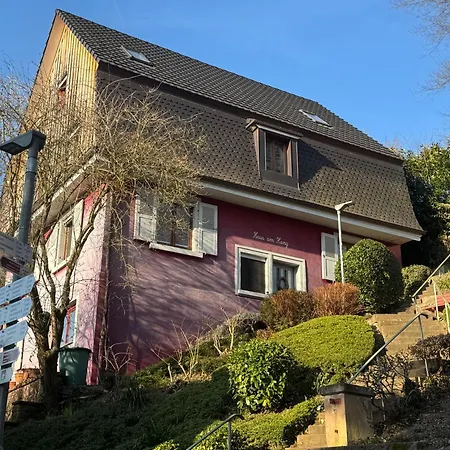 Romantic Gem At Black Forest - Cozy Historic - 30min To Europapark Appartement Gengenbach