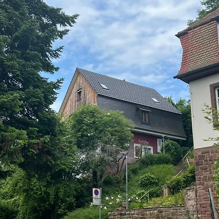 Appartement Romantic Gem At Black Forest - Cozy Historic - 30min To Europapark Gengenbach