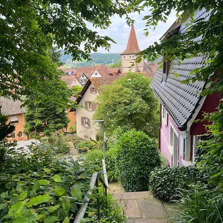 Romantic Gem At Black Forest - Cozy Historic - 30min To Europapark *