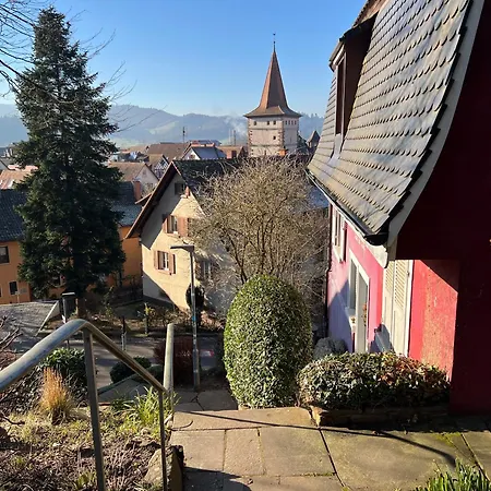 Romantic Gem At Black Forest - Cozy Historic - 30min To Europapark Appartement