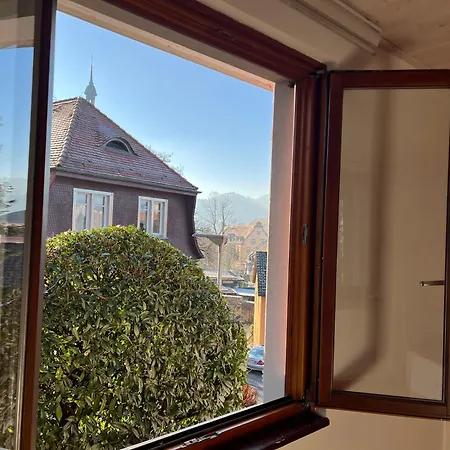 Romantic Gem At Black Forest - Cozy Historic - 30min To Europapark Appartement Gengenbach