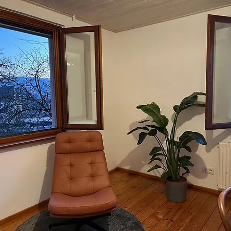 Romantic Gem At Black Forest - Cozy Historic - 30min To Europapark Appartement Gengenbach