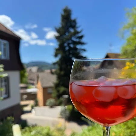 Romantic Gem At Black Forest - Cozy Historic - 30min To Europapark Gengenbach