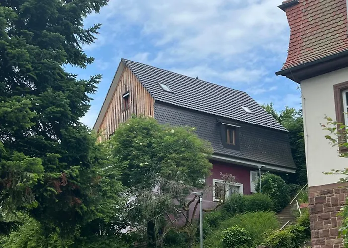 Apartman Romantic Gem At Black Forest - Cozy Historic - 30min To Europapark Gengenbach