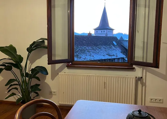 Apartman Romantic Gem At Black Forest - Cozy Historic - 30min To Europapark