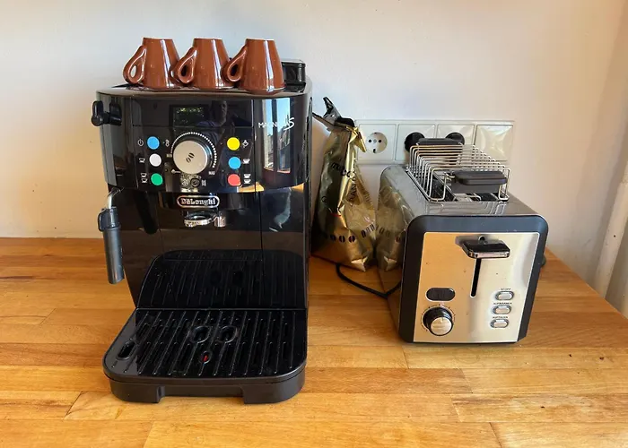 Apartman Romantic Gem At Black Forest - Cozy Historic - 30min To Europapark *